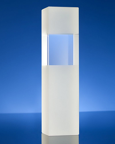 Награда Willpower, в подарочной коробке - рис 3.