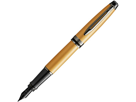 Перьевая ручка Waterman Expert GoldF BLK в подарочной упаковке