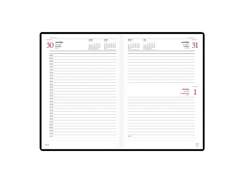 Ежедневник А5 датированный Velvet 2026, черный - рис 2.