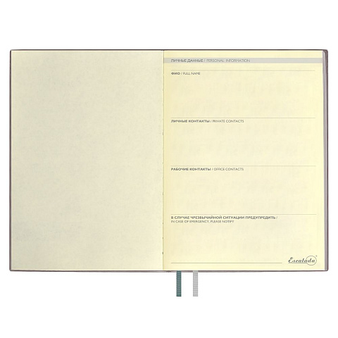 Ежедневник Avila, недатированный, серый - рис 6.