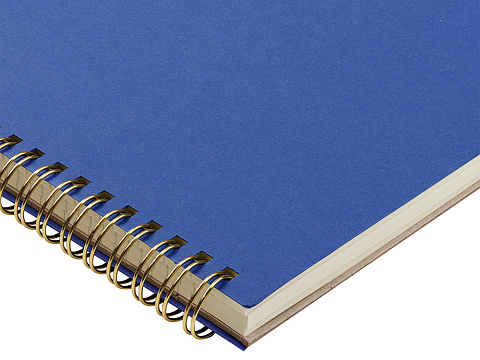 Бизнес тетрадь на гребне А4 Pragmatic, 100 листов в клетку, синий - рис 3.