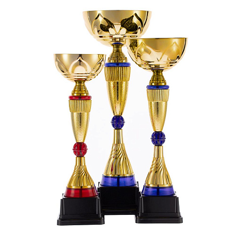 Кубок Awardee, малый, синий - рис 5.