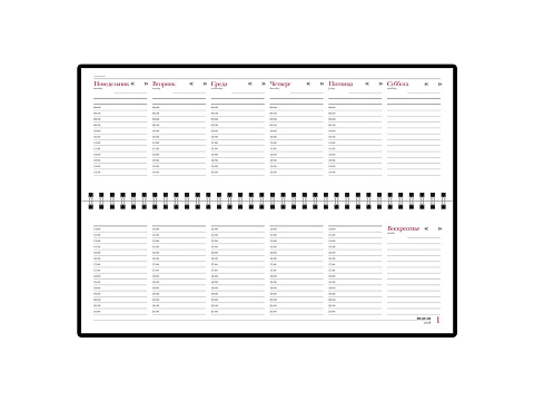 Планинг недатированный Sidney Nebraska, синий (Р) - рис 2.