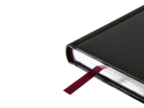 Ежедневник недатированный А5 Sidney Nebraska, черный (серебряный обрез, серебряные уголки) - рис 3.