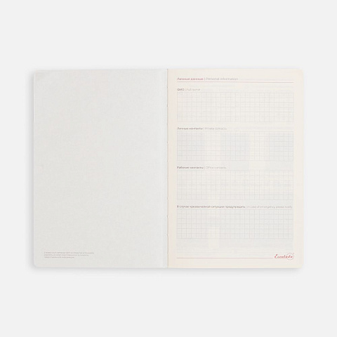 Ежедневник Tivoli, полудатированный, черный с синим - рис 9.